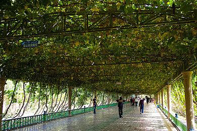 复古射击游戏《POST VOID》今年春季登陆主机